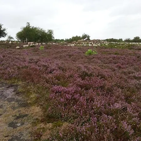 펜션 Ferienhaus Weiser 쿡스하펜